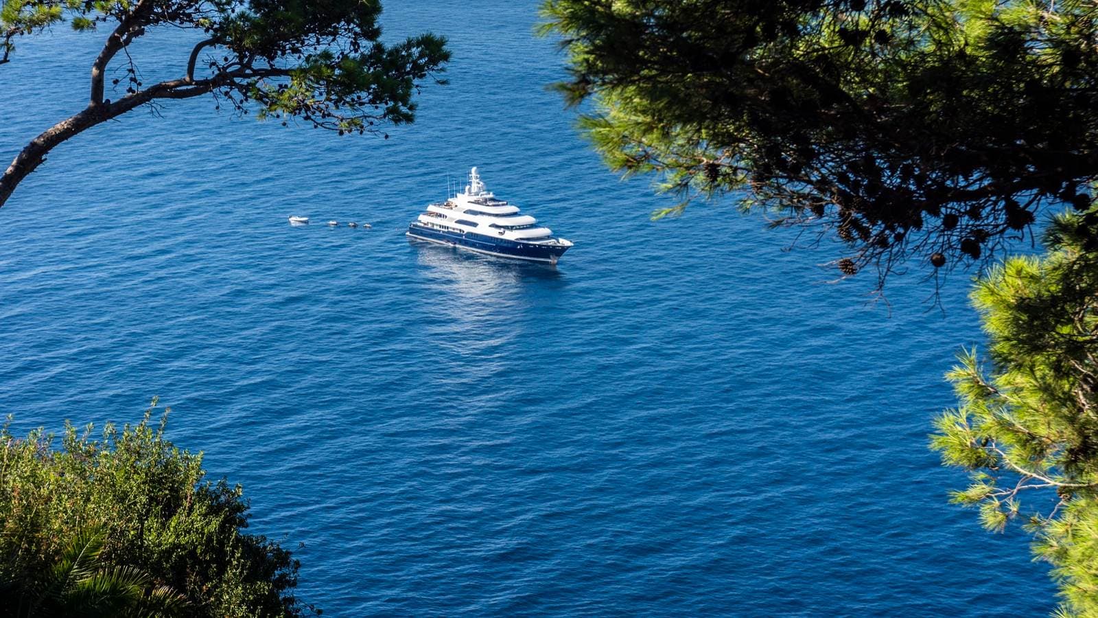 A superyacht anchored in deep blue water, seen from a hillside through the branches of pine trees.